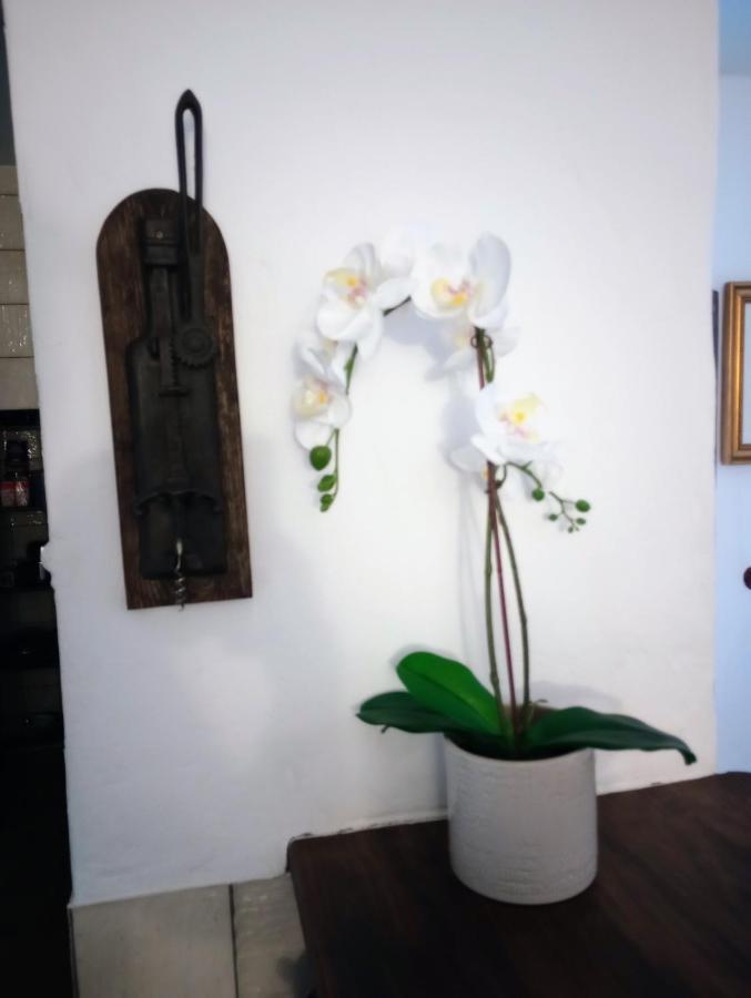 Casa Jaruf Centro Historico Parking Gratuito Patio Petfriendly Apartment Arcos de la Frontera Ngoại thất bức ảnh